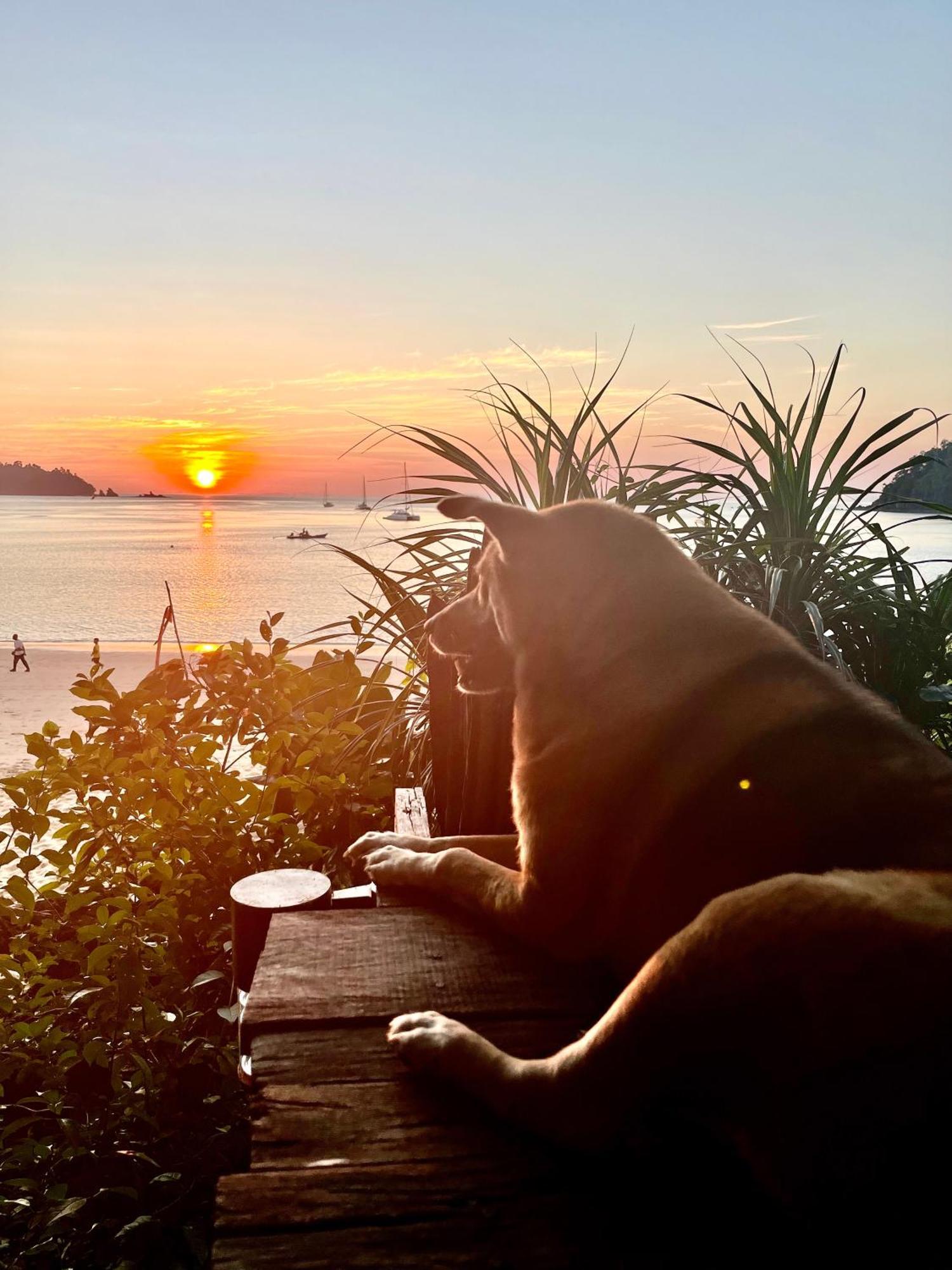 Starlight Beach Resort Koh Phayam Eksteriør billede